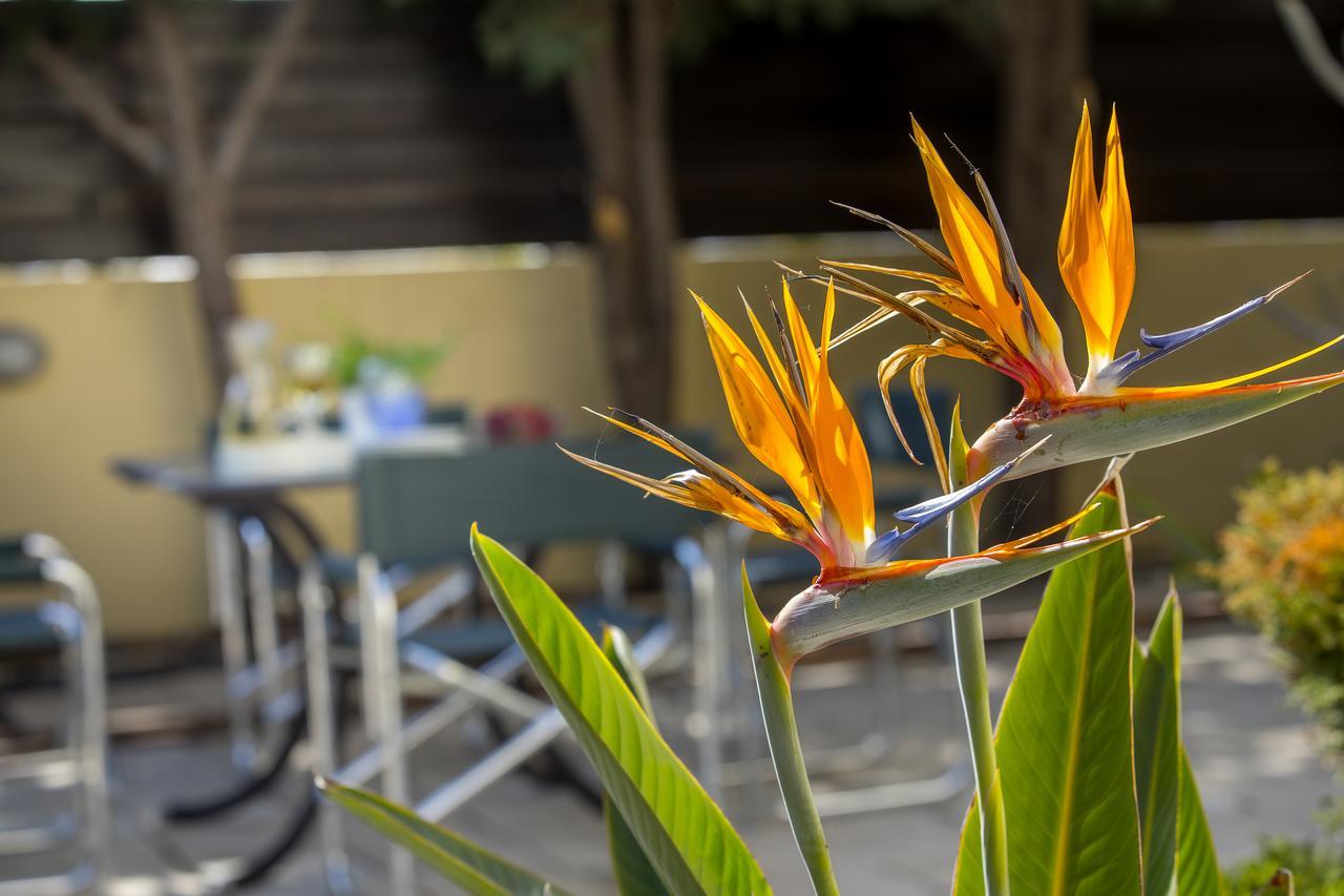 Ayia Napa Tropical Beach Villa Экстерьер фото